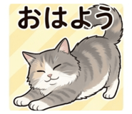 839855393