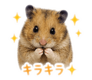 839855666