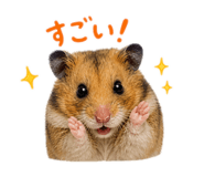 839855678