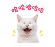 839855999