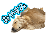 839856931