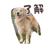 839856935