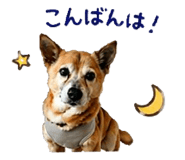 839857187