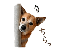 839857195