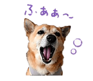 839857199