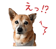 839857200