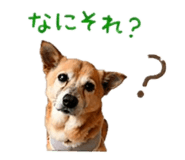 839857203