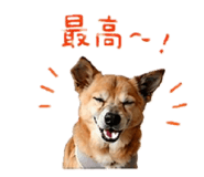 839857204