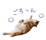 839857207