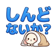 839857592
