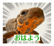 839858361