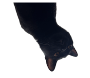 839858576