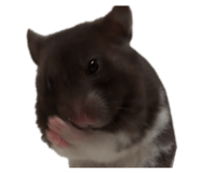 839858654