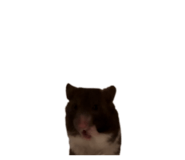 839858656