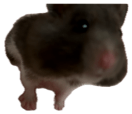 839858657