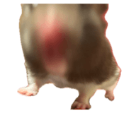 839858660
