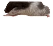 839858667