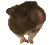 839858668
