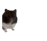 839858670