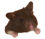 839858671