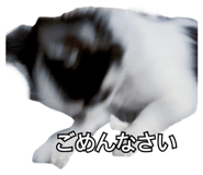 839858694