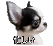 839858697