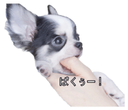 839858704