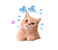 839858902