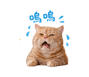 839858903