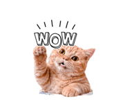839858905