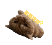 839858916
