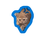 839858933