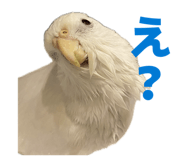 839858995