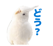 839858997