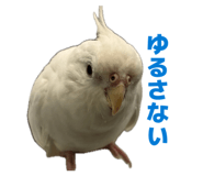 839858998