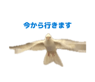 839858999