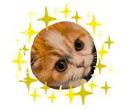 839859324