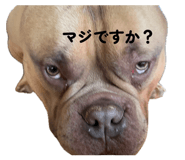 839859432