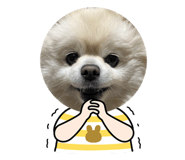 839859638