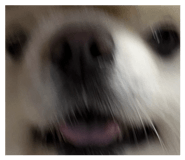 839859640
