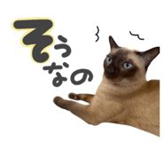 839859749