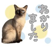 839859751