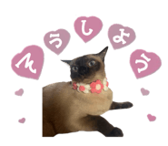 839859756