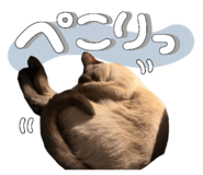 839859763