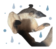 839859772