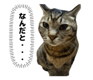 839859993