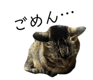 839859999