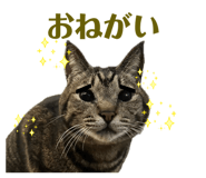 839860003