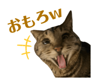 839860016