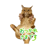 839860231